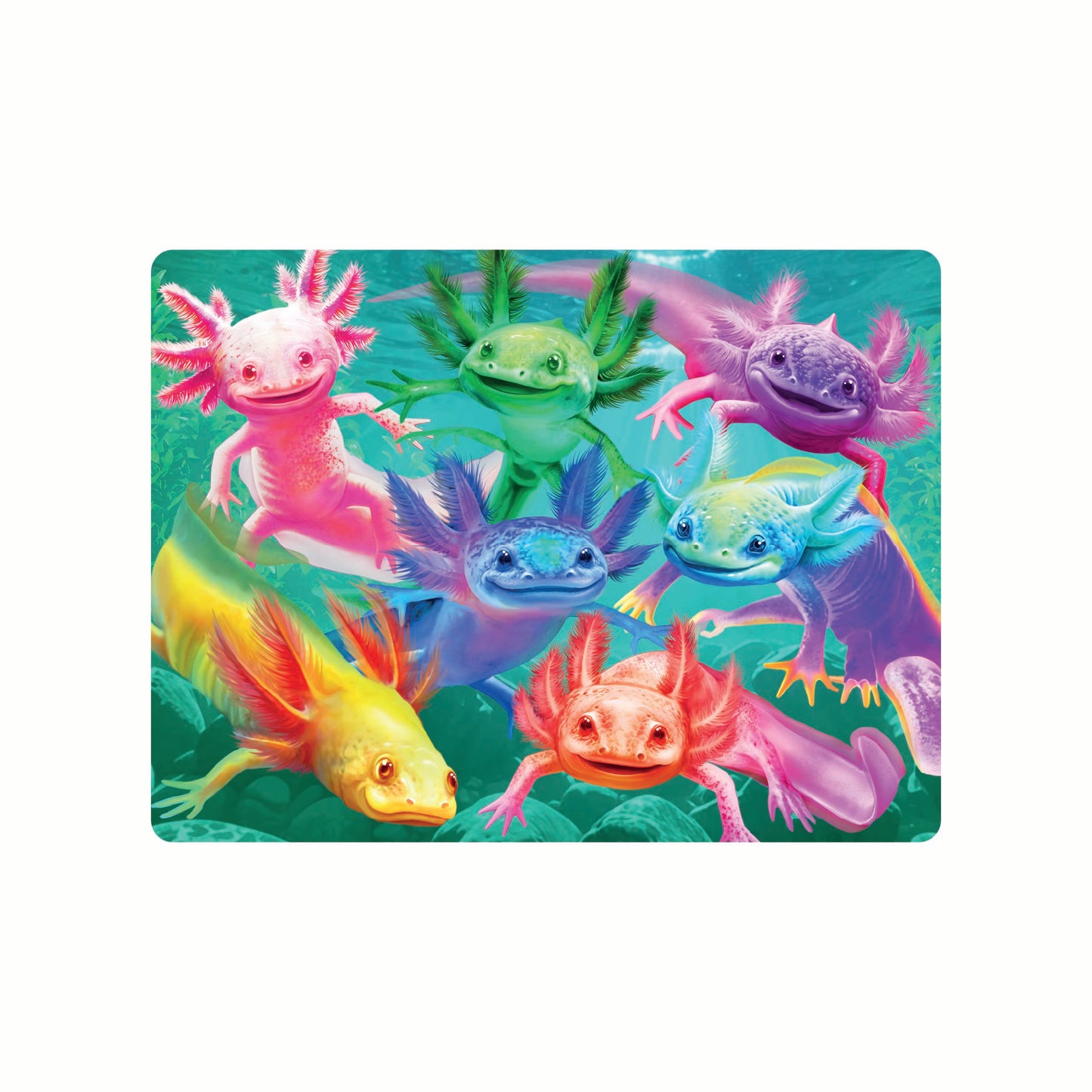 3D LiveLife Postcards - Axolotls