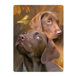 3D LiveLife Postcards - Chocolate Labradors