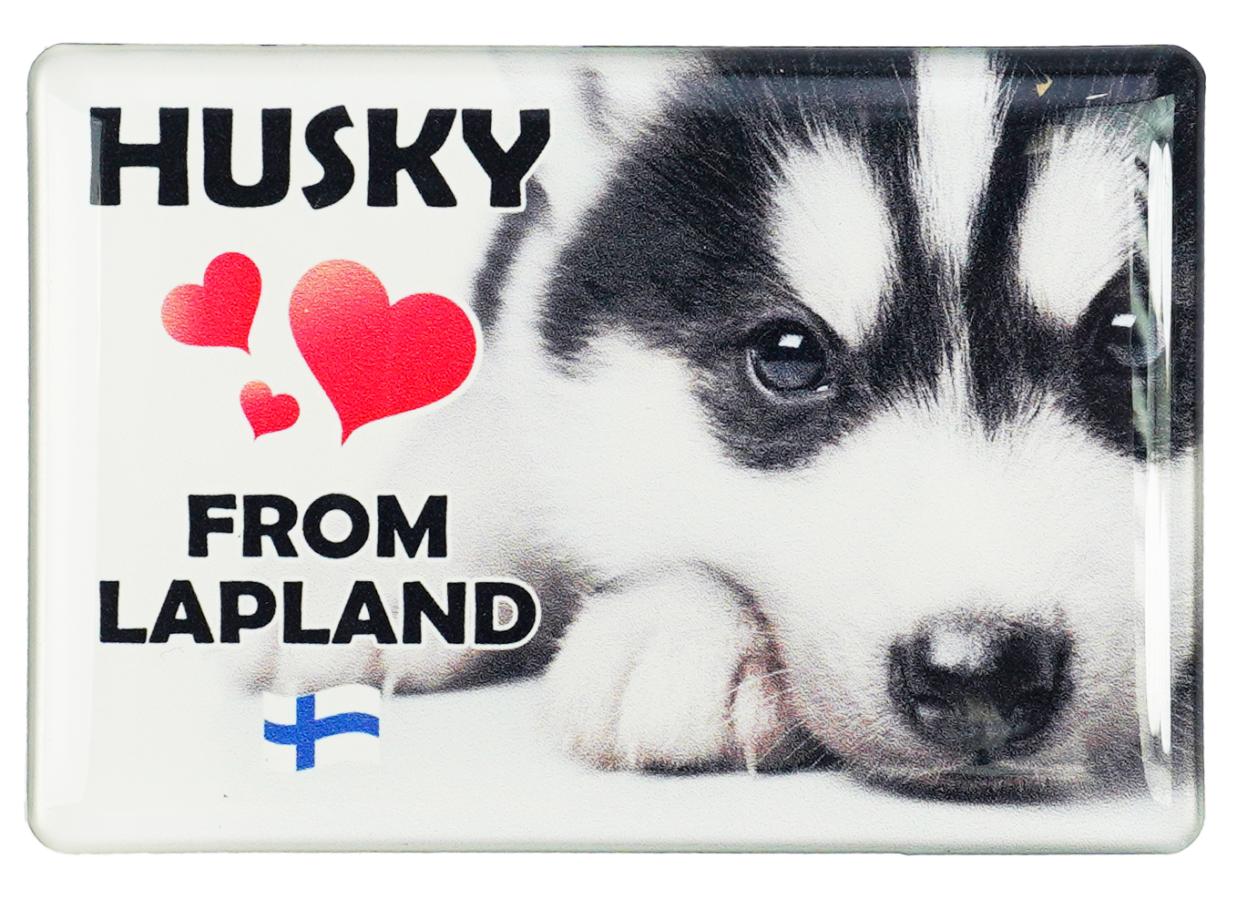 Husky Love Kuvamagneetti FIN LAP