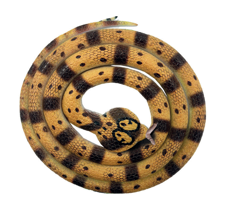 Snakes of the World XL - King Cobra