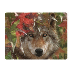 3D LiveLife Postcards - Autumn Encounter