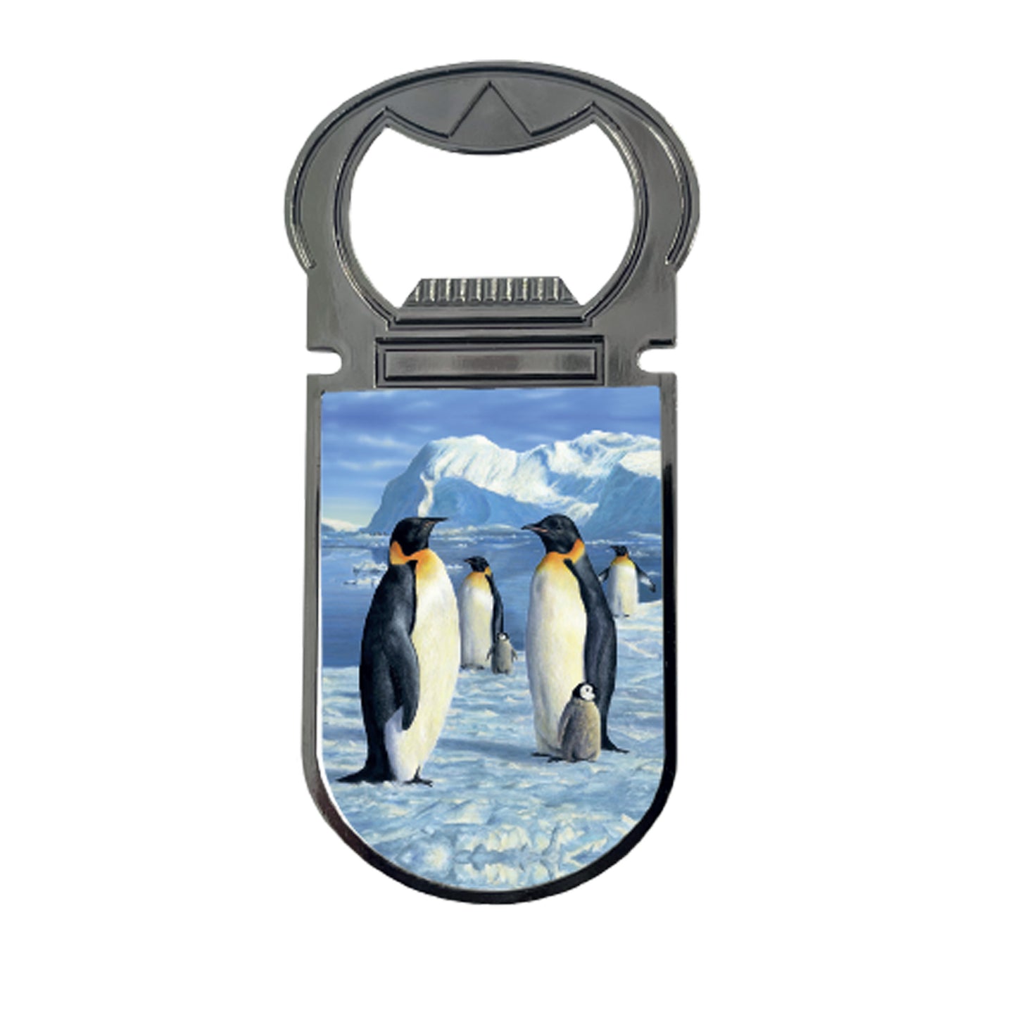 3D LiveLife Magnetic Bottle Openers - Antarctic Majesty