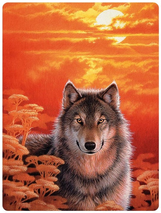 3D LiveLife Postcards - Gaze