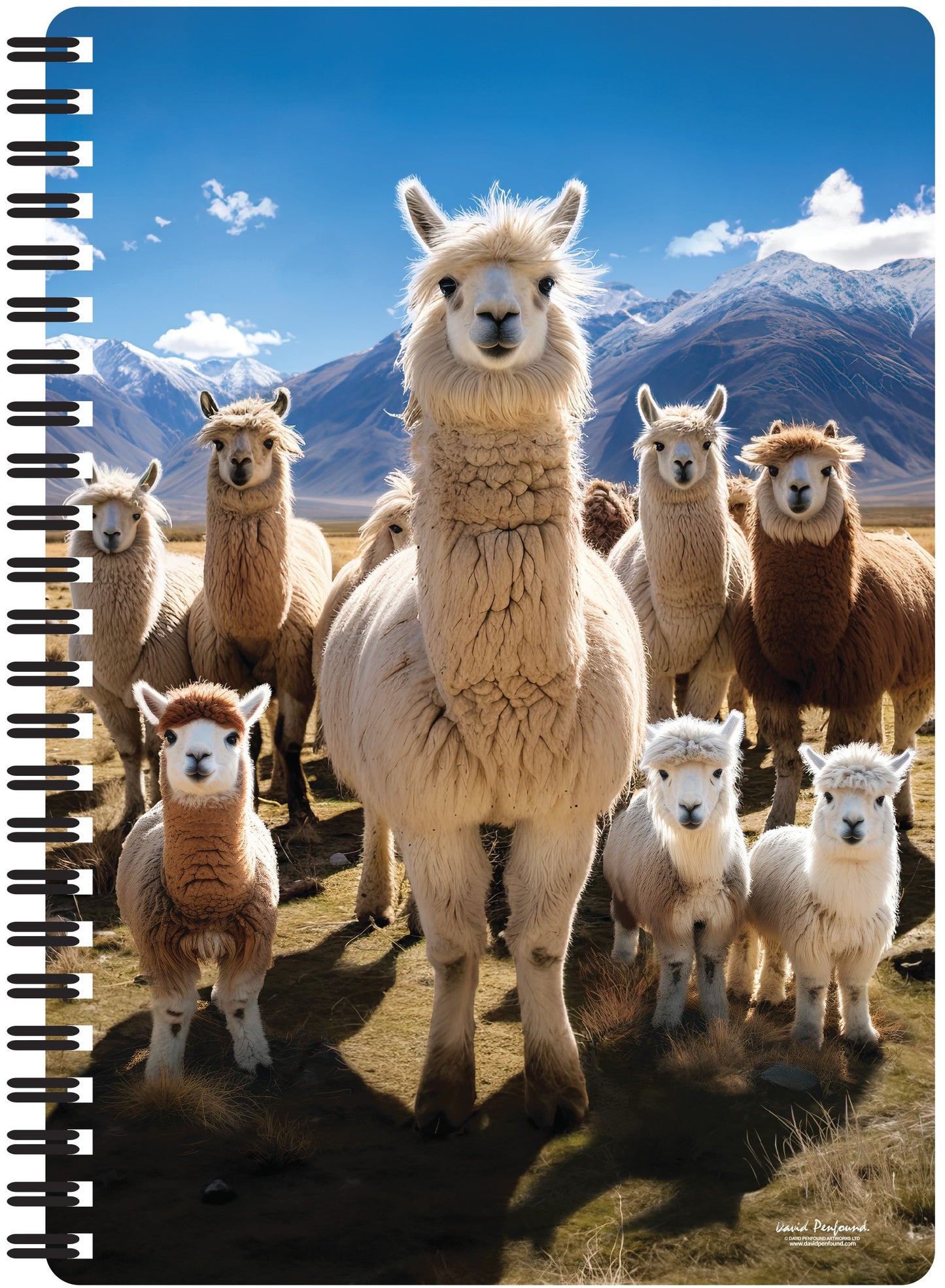 3D LiveLife Notebooks - Llamarama