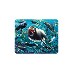 3D LiveLife Magnets - Gentoo Penguin