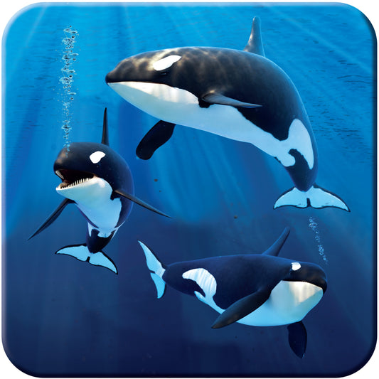 3D LiveLife Coasters - Orcas