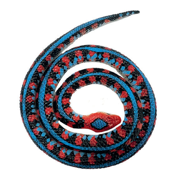 Snakes of the World Small - Red Sided Gater
