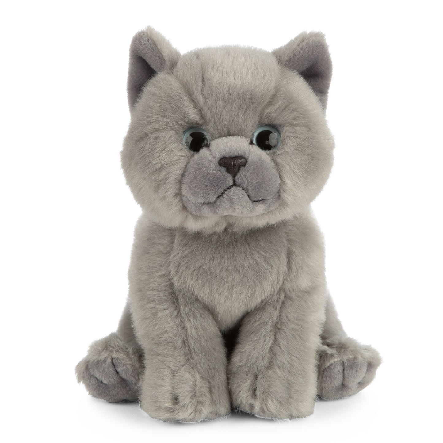 AN447 British Grey Shorthair Kitten 16cm