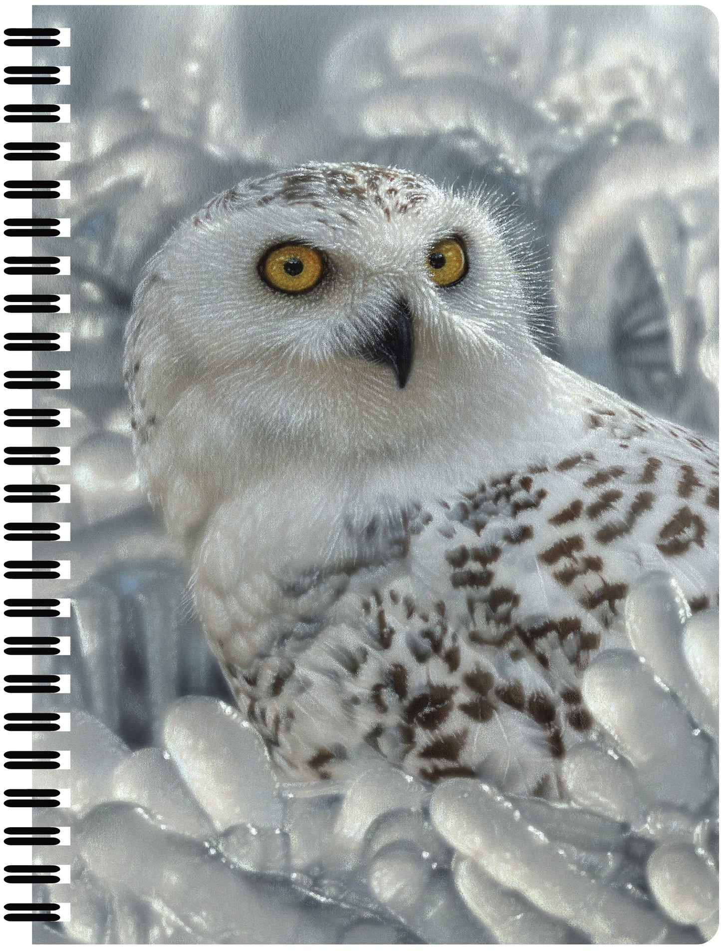 3D LiveLife Notebooks - Snowy Owl Sanctuary