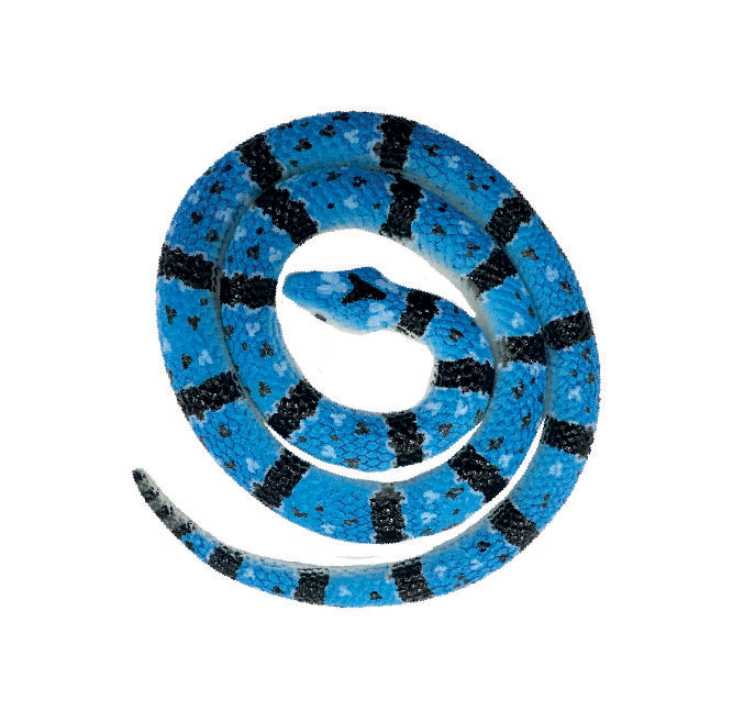Snakes of the World Small - Blue Rock Rattle