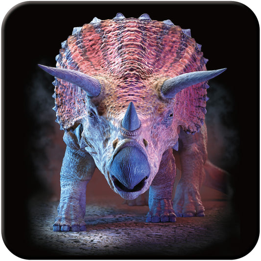 3D LiveLife Coasters - Triceratops