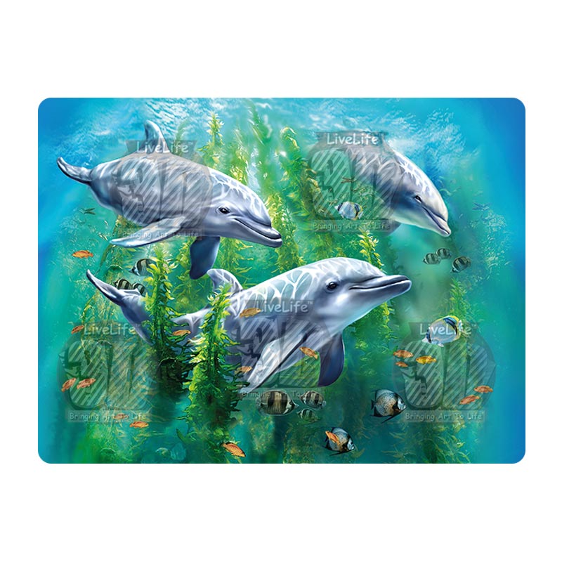 3D LiveLife Postcards - Dolphin Kelp Bed
