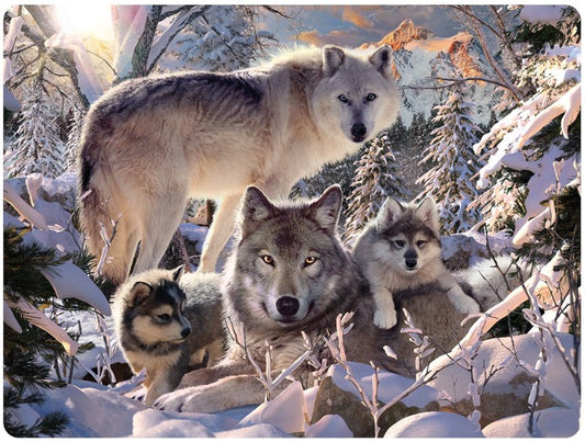 3D LiveLife Postcards - Winter Wolves