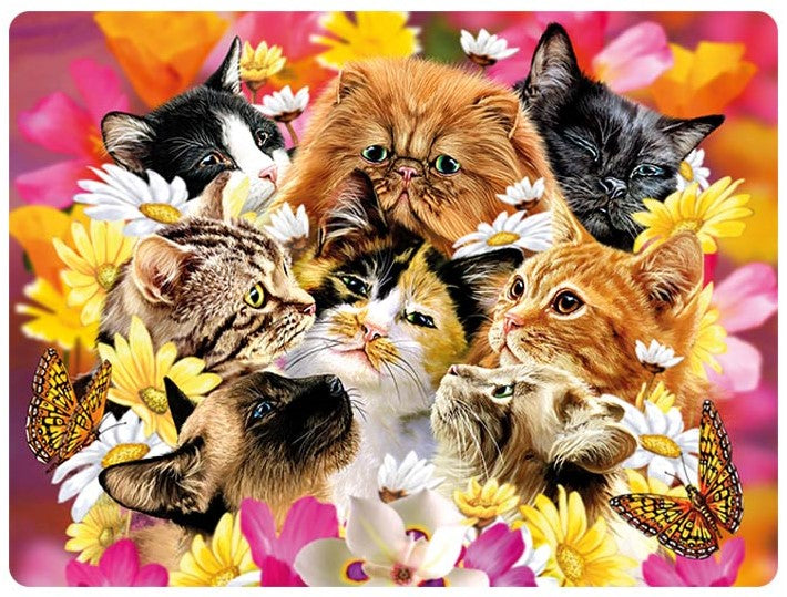 3D LiveLife Postcards - Cats