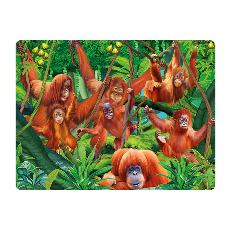 3D LiveLife Postcards - Orangutan Swinging