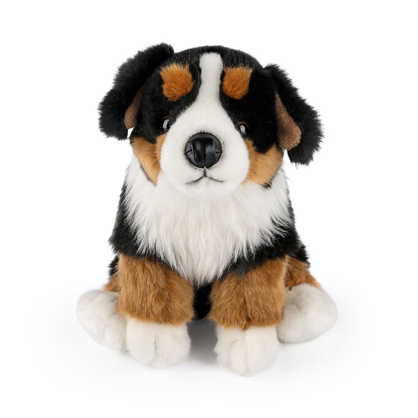 AN674 Bernese Mountain Dog 20cm