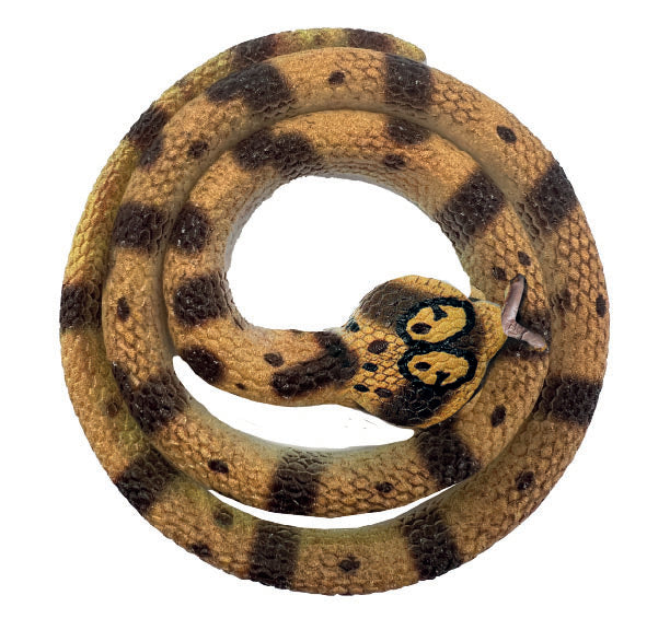 Snakes of the World Small - King Cobra