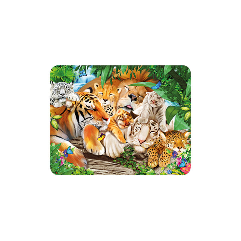 3D LiveLife Magnets - Sleepy Big Cats