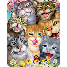 3D LiveLife Magnets - Crazy Cats