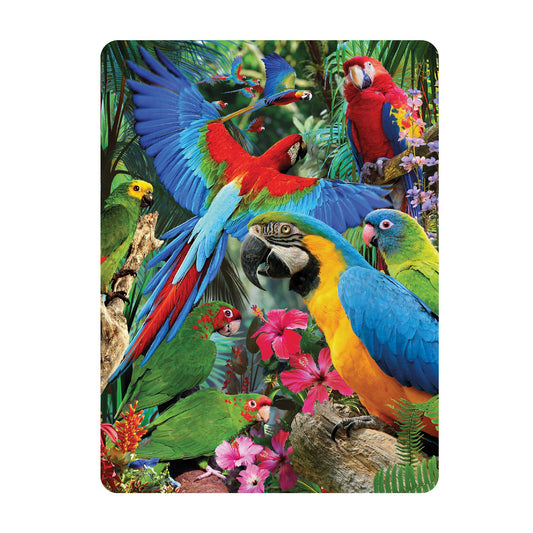 3D LiveLife Postcards - Parrot Pandemonia