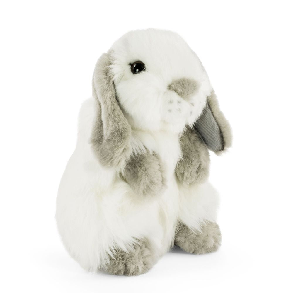 AN781 Lop Eared Rabbit Grey