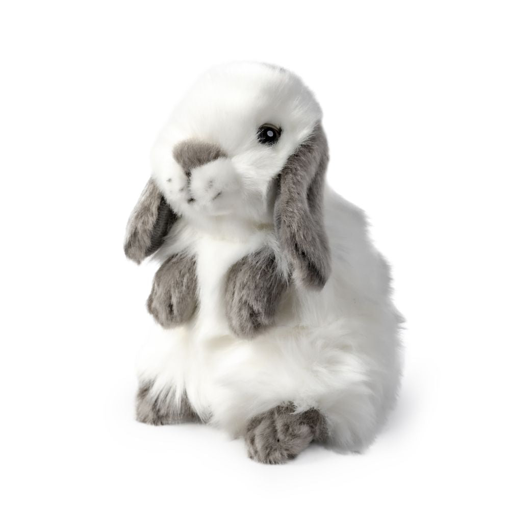 AN781 Lop Eared Rabbit Grey