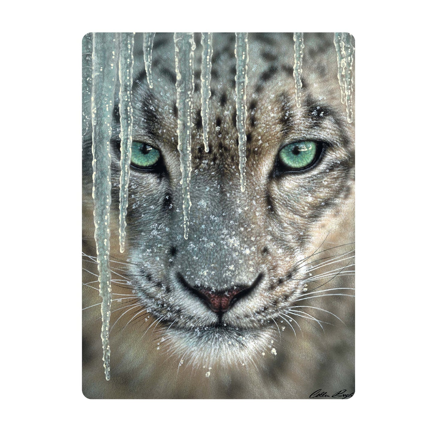 3D LiveLife Postcards - Blue Ice