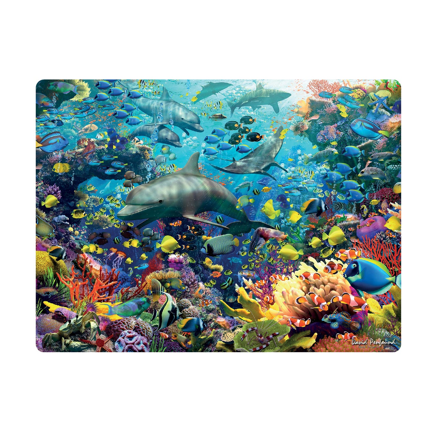 3D LiveLife Postcards - Dolphin Delight