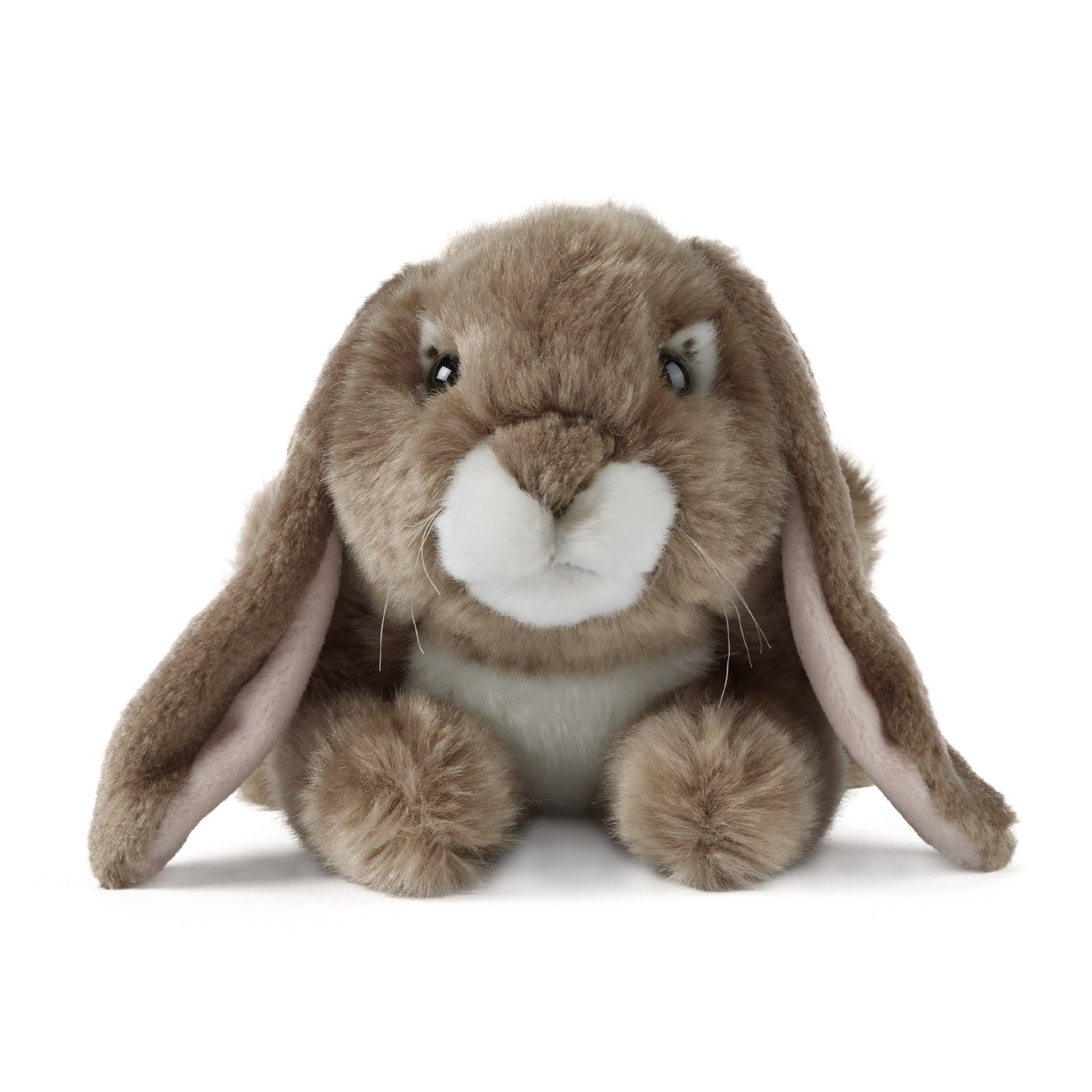 AN40B Brown Lop Eared Rabbit 24cm