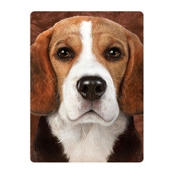 3D LiveLife Postcards - Beagle