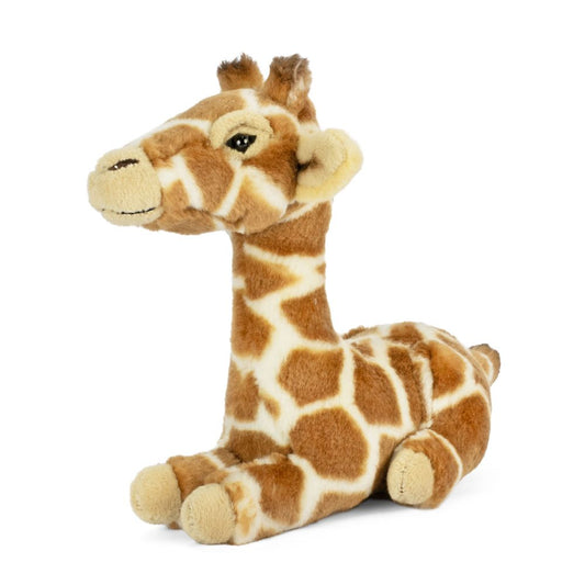 AN791 Lying Giraffe Calf