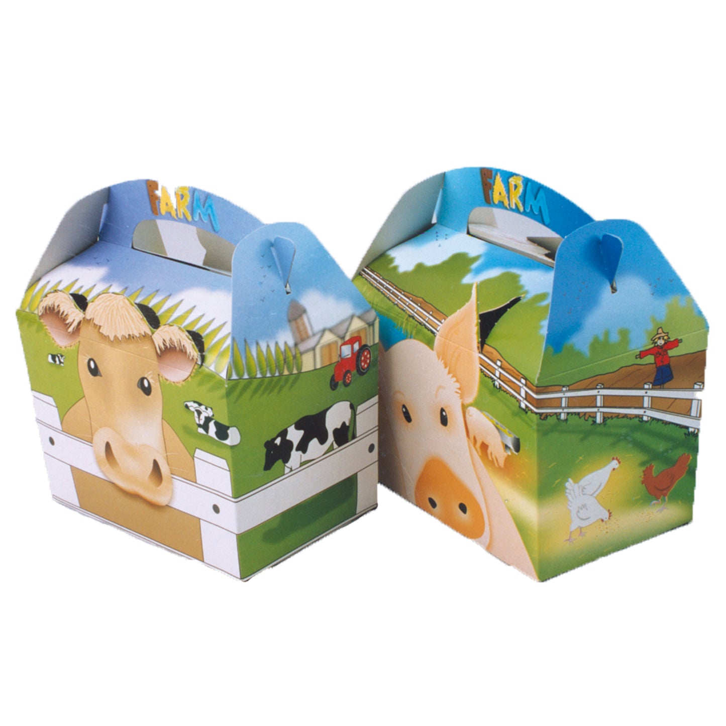 PT01FM Farm Party Box