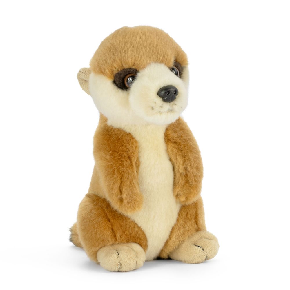 AN792 Standing Baby Meerkat