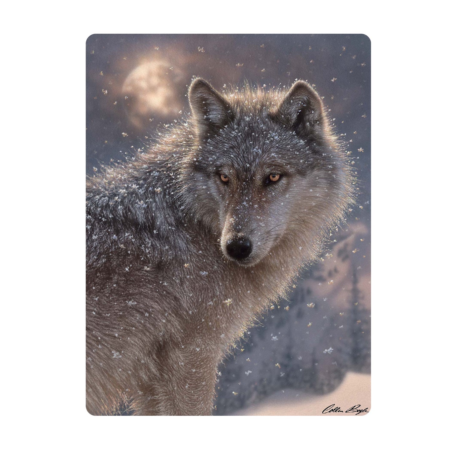 3D LiveLife Postcards - Lone Wolf