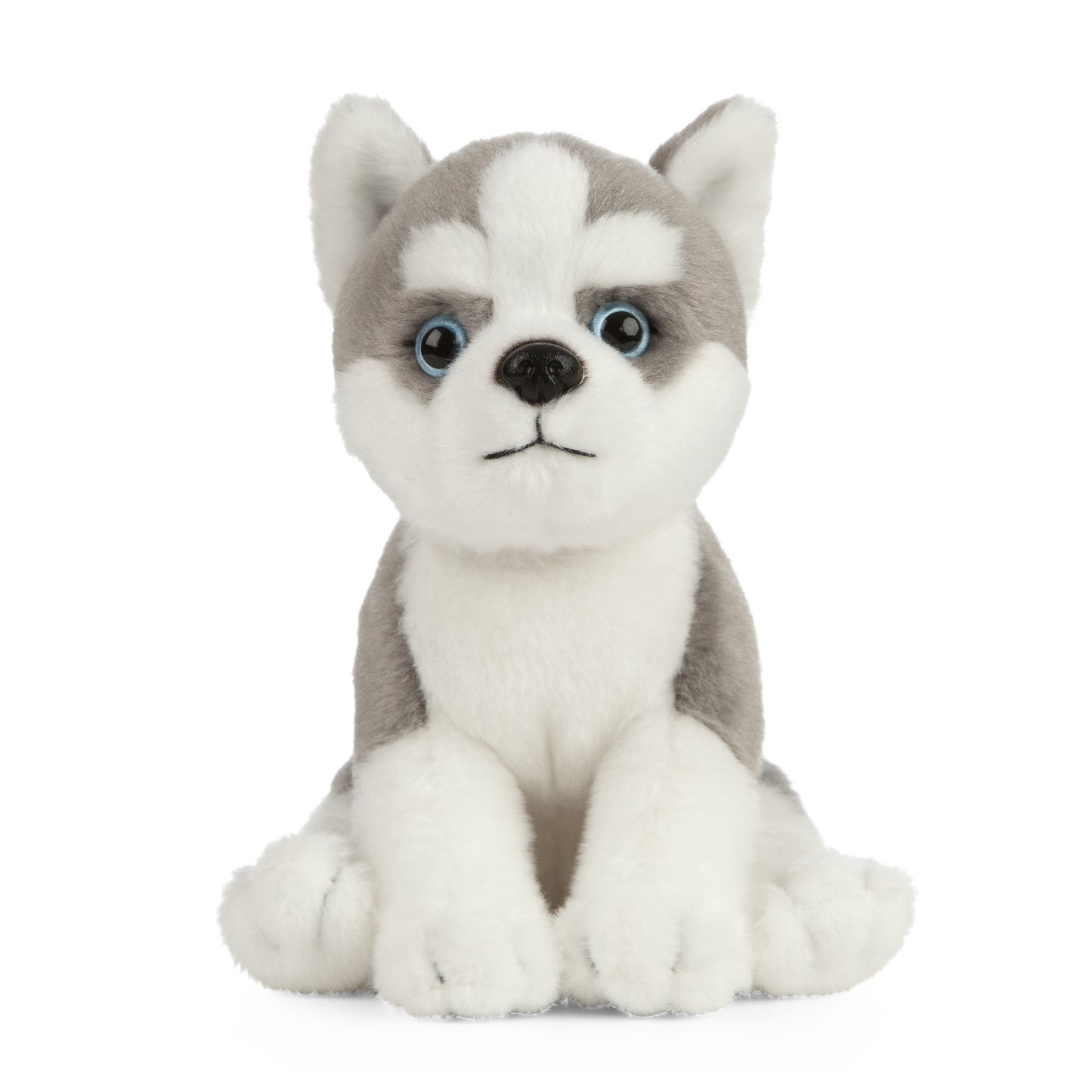 AN445 Husky Puppy 16cm