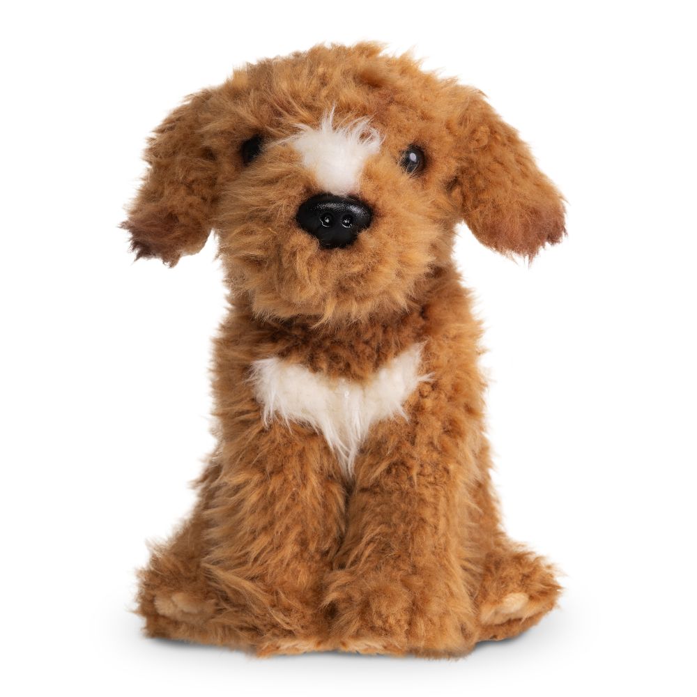 AN810 Labradoodle Brown