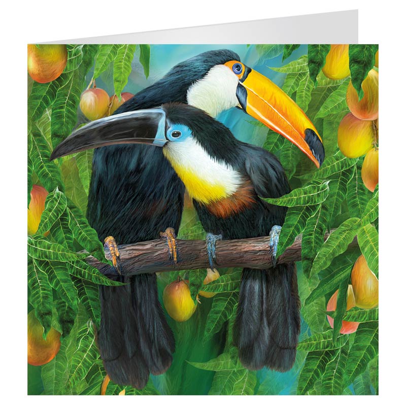 3D LiveLife Greetings Cards - Tropic Spirits Toucans