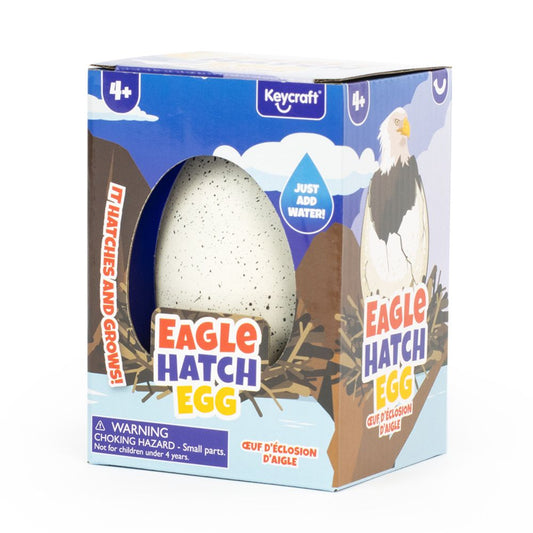 NV646 Eagle Hatch Eggs