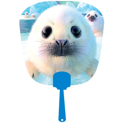 3D LiveLife Fans - Seal Pups
