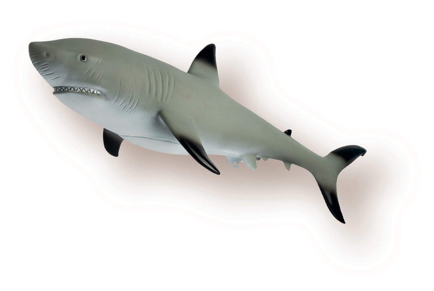 Soft Ark Replicas XL - Blacktip Shark