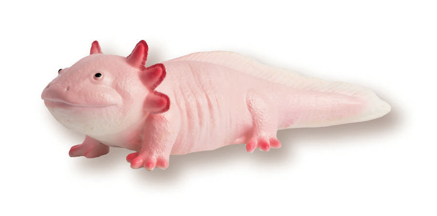 Soft Ark Replicas - Axolotl