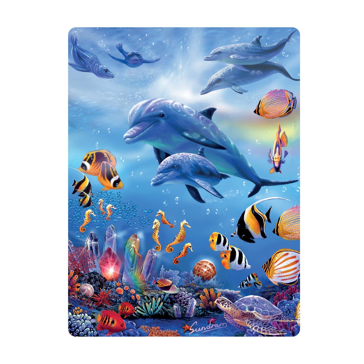 3D LiveLife Postcards - Seahorse Kingdom