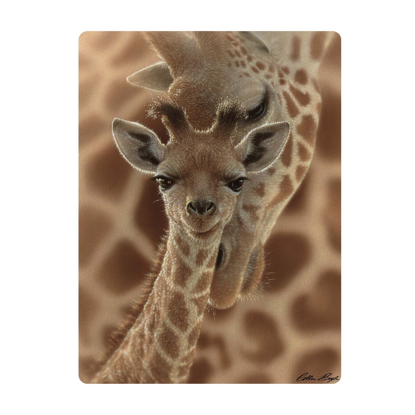 3D LiveLife Postcards - Newborn