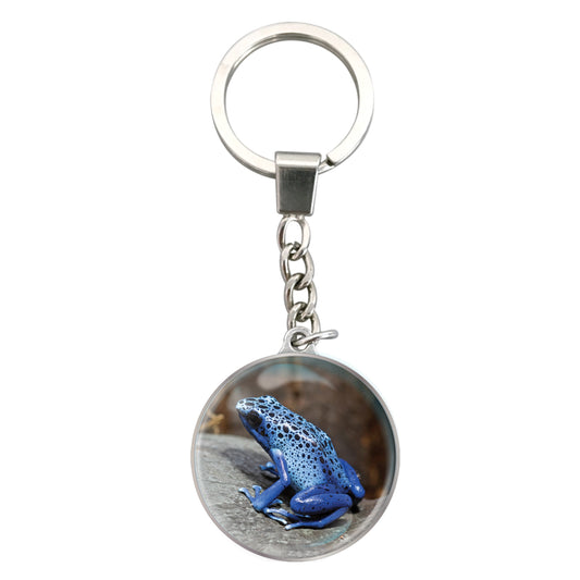 Magnidome Keychains - Poisoned Dart Frog