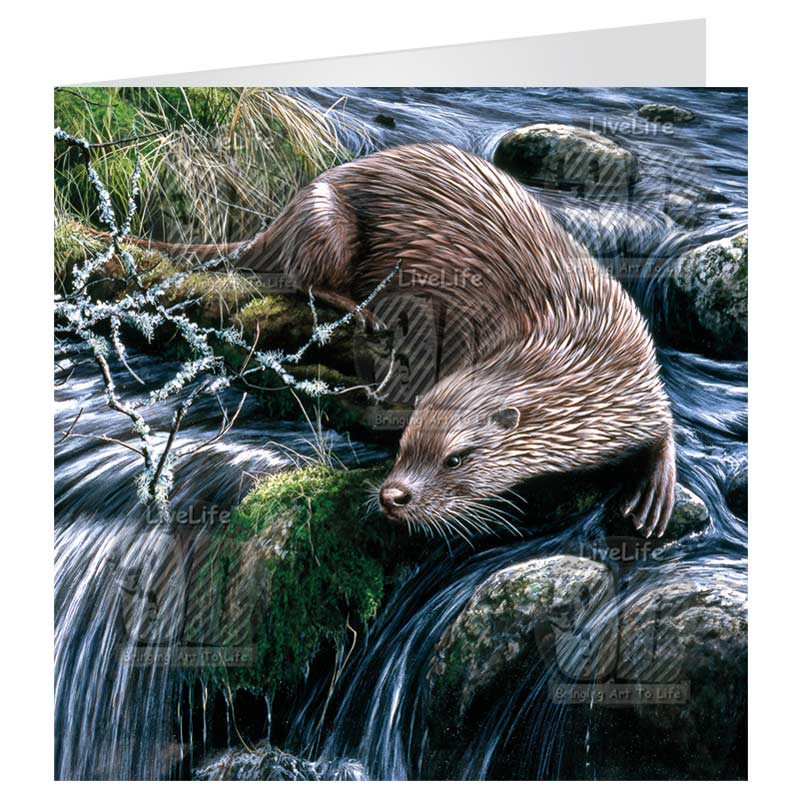 3D LiveLife Greetings Cards - Bright Waters