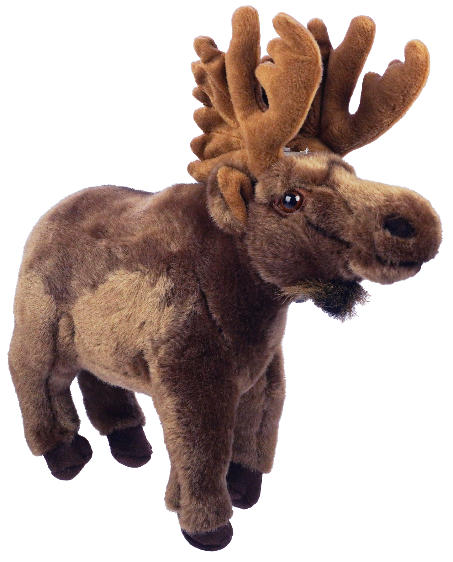 Standing Moose (30cm)