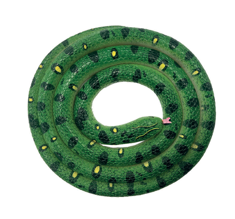 Snakes of the World XL - Green Anaconda
