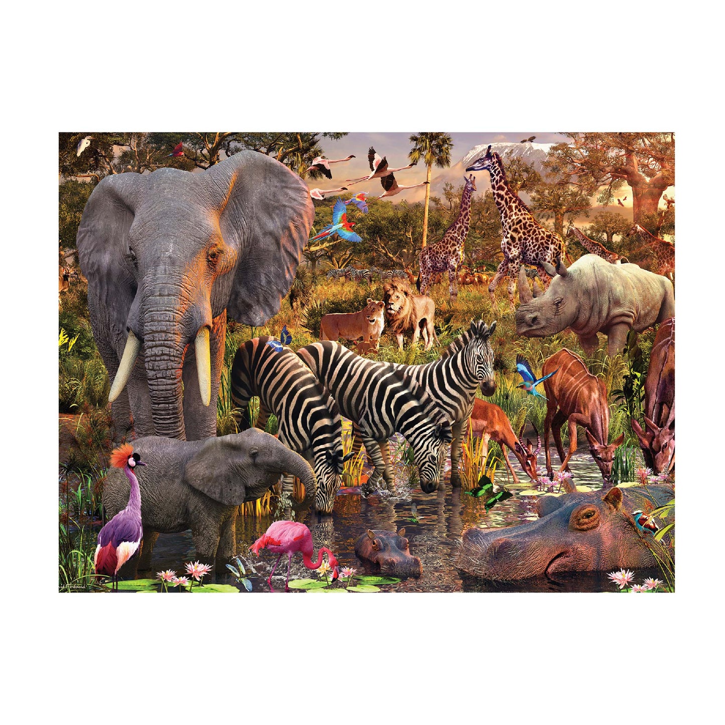 3D LiveLife Postcards - Waterhole