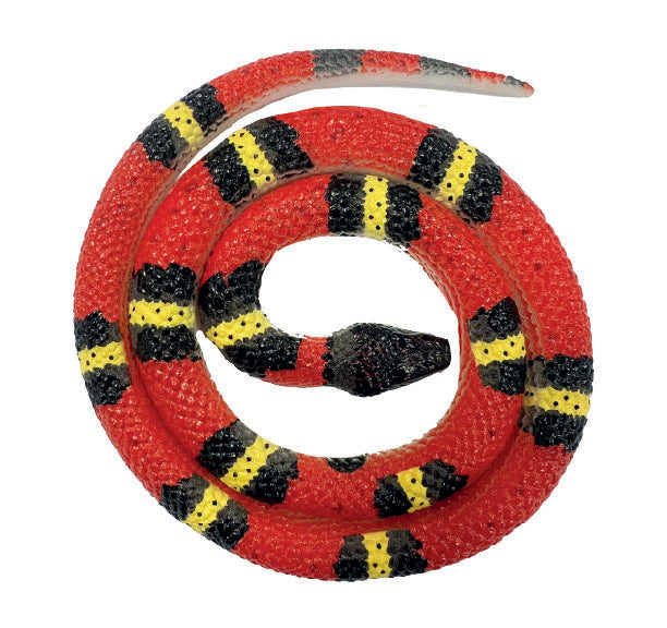 Snakes of the World Small - Honduran Milk Snake