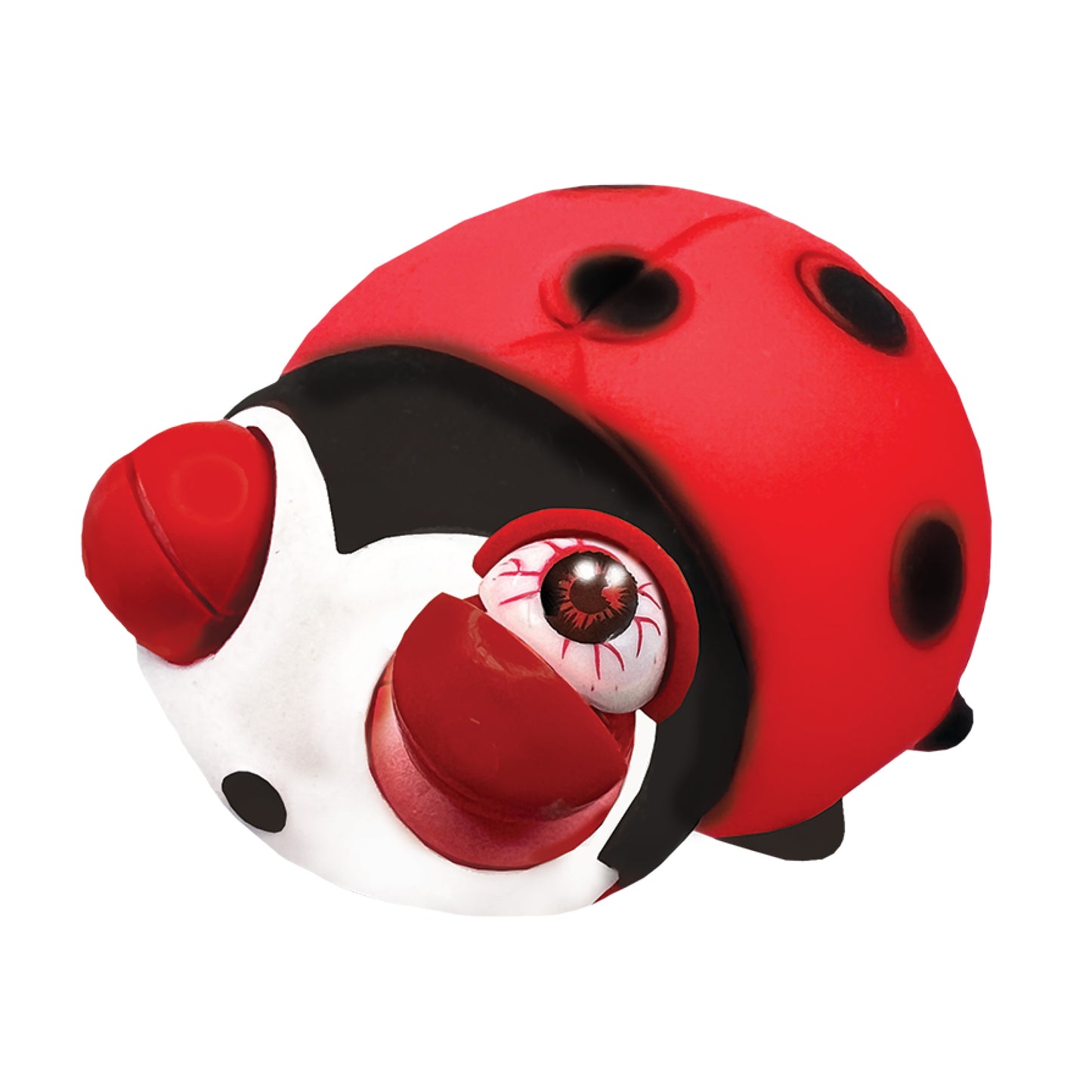 Wild Winkers - Ladybird